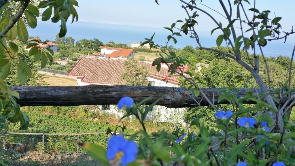 Agriturismo Agri Armonia Сан-Лючидо Экстерьер фото